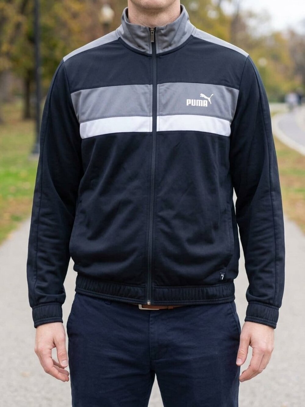 Puma Colorblock Track Jacket L - Picture 1 of 6